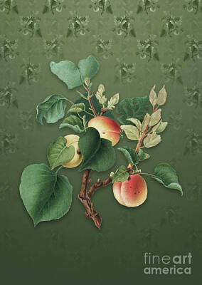 Impressionist Nudes Old Masters - Vintage Apricot Botanical Art on Lunar Green Pattern n.0134 by Holy Rock Design