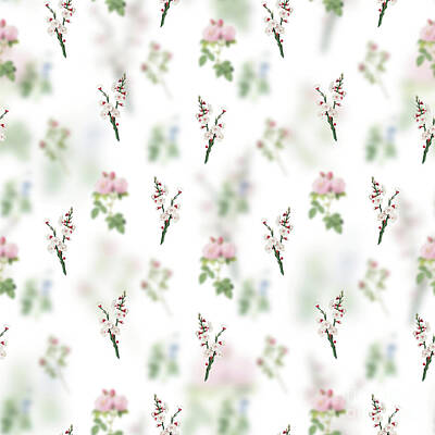 Woodland Animals Royalty Free Images - Vintage Apricot Floral Garden Pattern on White n.0080 Royalty-Free Image by Holy Rock Design