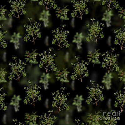 Food And Beverage Mixed Media - Vintage Atlantic White Cypress Floral Garden Pattern on Black n.0897 by Holy Rock Design