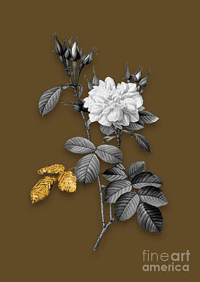 Roses Mixed Media - Vintage Autumn Damask Rose Black and White Gilded Floral Art on Coffee Brown n.0020 by Holy Rock Design