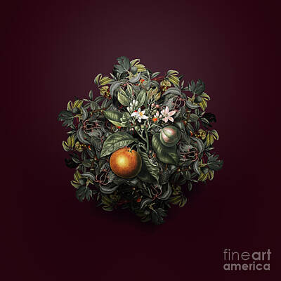 Wine Royalty-Free and Rights-Managed Images - Vintage Bitter Orange Fruit Wreath on Wine Red n.2659 by Holy Rock Design