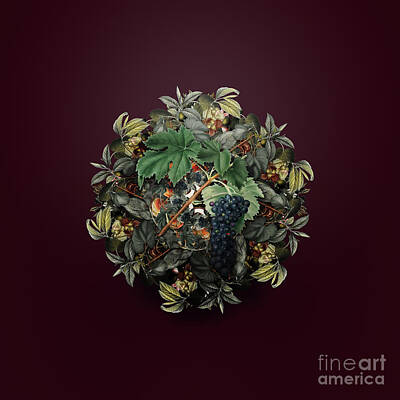Wine Royalty-Free and Rights-Managed Images - Vintage Black Aleatico Grape Fruit Wreath on Wine Red n.0139 by Holy Rock Design