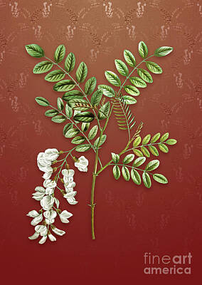 Florals Mixed Media - Vintage Black Locust Botanical Art on Falu Red Pattern n.0958 by Holy Rock Design