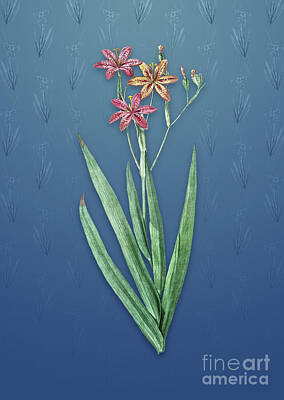 Lilies Mixed Media - Vintage Blackberry Lily Botanical Art on Bahama Blue Pattern n.3480 by Holy Rock Design