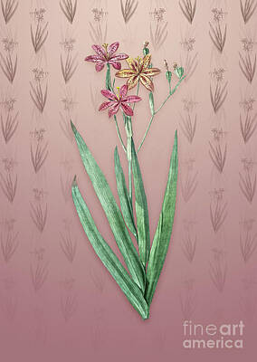 Lilies Mixed Media - Vintage Blackberry Lily Botanical Art on Dusty Pink Pattern n.5337 by Holy Rock Design