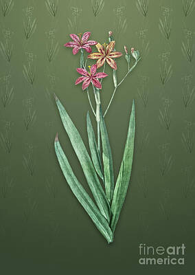 Lilies Mixed Media - Vintage Blackberry Lily Botanical Art on Lunar Green Pattern n.4143 by Holy Rock Design