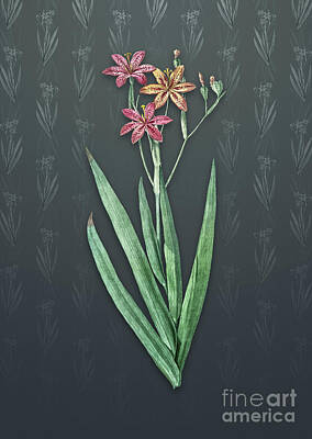 Lilies Mixed Media - Vintage Blackberry Lily Botanical Art on Slate Gray Pattern n.3034 by Holy Rock Design