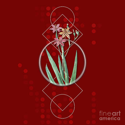 Lilies Mixed Media - Vintage Blackberry Lily Botanical with Geometric Motif n.1022 by Holy Rock Design