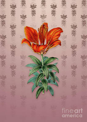 Lilies Mixed Media - Vintage Blood Red Lily Flower Botanical Art on Dusty Pink Pattern n.3873 by Holy Rock Design