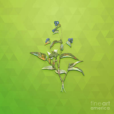 Animals Mixed Media - Vintage Blue Spiderwort Botanical Art on Love Bird Green n.0040 by Holy Rock Design
