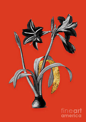 Food And Beverage Mixed Media - Vintage Brazilian Amaryllis Black and White Gilded Floral Art on Tomato Red n.0646 by Holy Rock Design