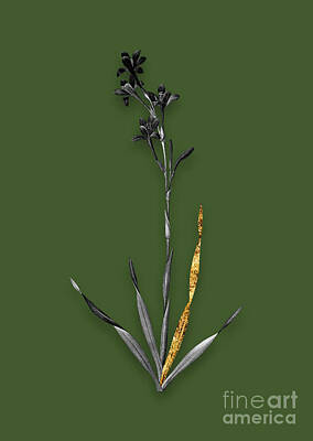 Lilies Mixed Media - Vintage Bugle Lily Black and White Gilded Floral Art on Olive Green n.1031 by Holy Rock Design