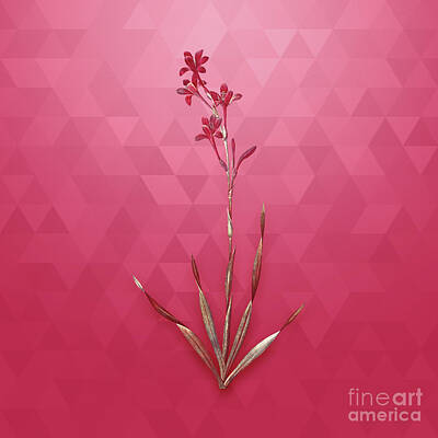 Lilies Mixed Media - Vintage Bugle Lily in Gold on Viva Magenta by Holy Rock Design
