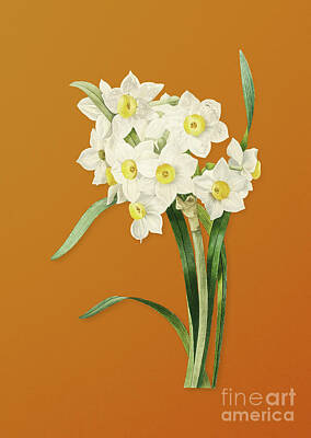 Florals Mixed Media - Vintage Bunch Flowered Daffodil Botanical Art on Sunset Orange n.0290 by Holy Rock Design
