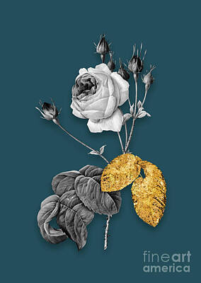Roses Mixed Media - Vintage Cabbage Rose Black and White Gilded Floral Art on Teal Blue n.0024 by Holy Rock Design