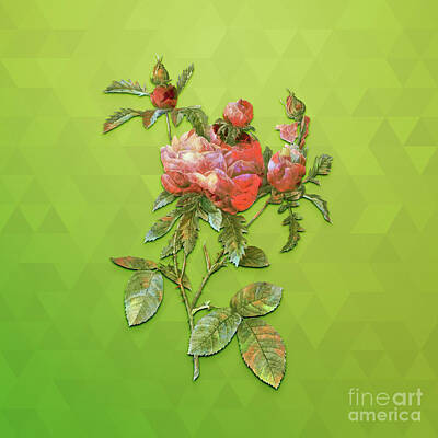 Animals Mixed Media - Vintage Cabbage Rose Botanical Art on Love Bird Green n.1410 by Holy Rock Design