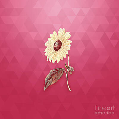Sunflowers Mixed Media - Vintage California Sunflower in Gold on Viva Magenta by Holy Rock Design