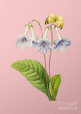 Olympic Sports - Vintage Canterbury Bells Botanical Illustration on Pink by Holy Rock Design