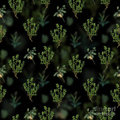Florals Mixed Media - Vintage Cape Myrtle Floral Garden Pattern on Black n.0179 by Holy Rock Design