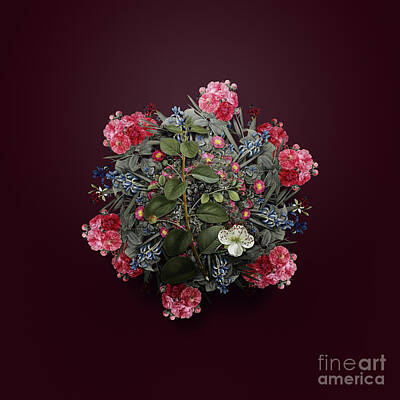 Wine Royalty-Free and Rights-Managed Images - Vintage Caper Plant Flower Wreath on Wine Red n.0055 by Holy Rock Design