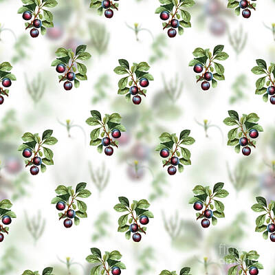 Mlb Photos Rights Managed Images - Vintage Cherry Plum Floral Garden Pattern on White n.1738 Royalty-Free Image by Holy Rock Design