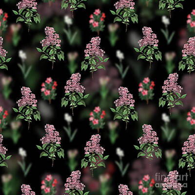 Roses Mixed Media Royalty Free Images - Vintage Chinese Lilac Floral Garden Pattern on Black n.1145 Royalty-Free Image by Holy Rock Design