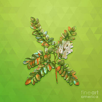 Animals Mixed Media - Vintage Clammy Locust Botanical Art on Love Bird Green n.0569 by Holy Rock Design