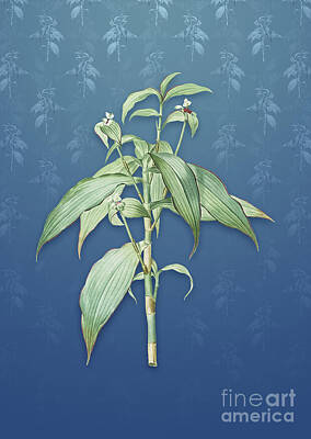Abtracts Laura Leinsvencner - Vintage Commelina Zanonia Botanical Art on Bahama Blue Pattern n.2459 by Holy Rock Design