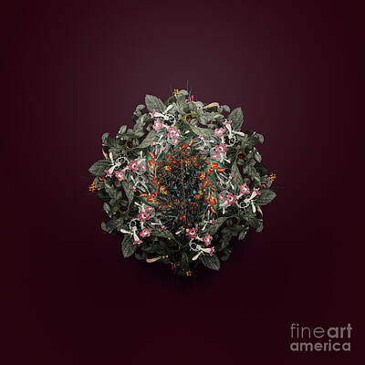 Wine Royalty-Free and Rights-Managed Images - Vintage Common Juniper Floral Wreath on Wine Red n.1327 by Holy Rock Design