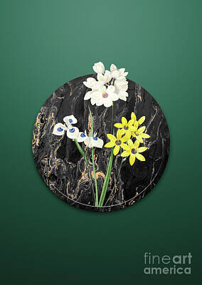 Lilies Paintings - Vintage Corn Lily Art in Gilded Marble on Dark Spring Green by Holy Rock Design
