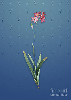Lilies Mixed Media - Vintage Corn Lily Botanical Art on Bahama Blue Pattern n.5050 by Holy Rock Design