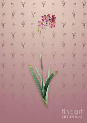 Lilies Mixed Media - Vintage Corn Lily Botanical Art on Dusty Pink Pattern n.3095 by Holy Rock Design
