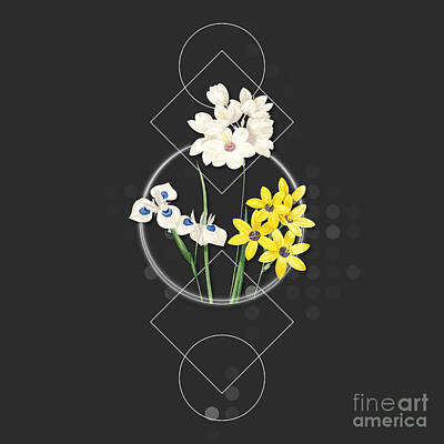 Lilies Mixed Media - Vintage Corn Lily Botanical with Geometric Motif n.0572 by Holy Rock Design