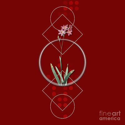 Lilies Mixed Media - Vintage Corn Lily Botanical with Geometric Motif n.0614 by Holy Rock Design