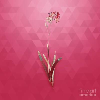 Lilies Mixed Media - Vintage Corn Lily in Gold on Viva Magenta by Holy Rock Design