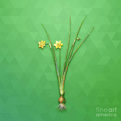 Ethereal - Vintage Daffodil Botanical Art on Classic Green n.1223 by Holy Rock Design