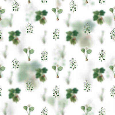 Cactus - Vintage Dalmatian Wall Campanula Floral Garden Pattern on White n.0744 by Holy Rock Design