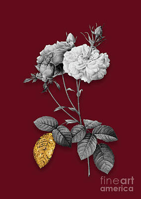 Mixed Media Royalty Free Images - Vintage Damask Rose Black and White Gilded Floral Art on Burgundy Red n.0400 Royalty-Free Image by Holy Rock Design