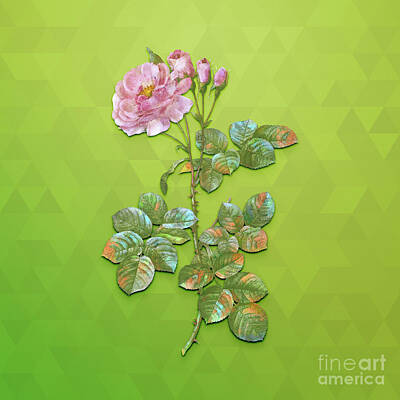 Animals Mixed Media - Vintage Damask Rose Botanical Art on Love Bird Green n.0315 by Holy Rock Design