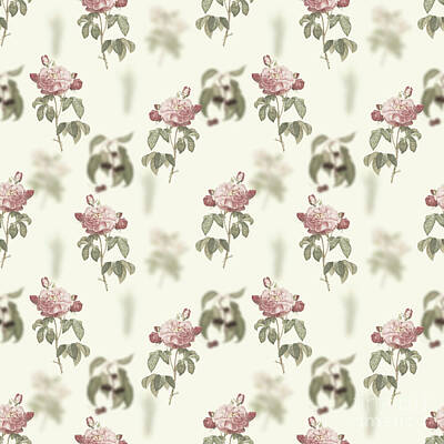 Florals Royalty-Free and Rights-Managed Images - Vintage Duchess of Orleans Rose Boho Botanical Pattern on Soft Warm White n.0342 by Holy Rock Design