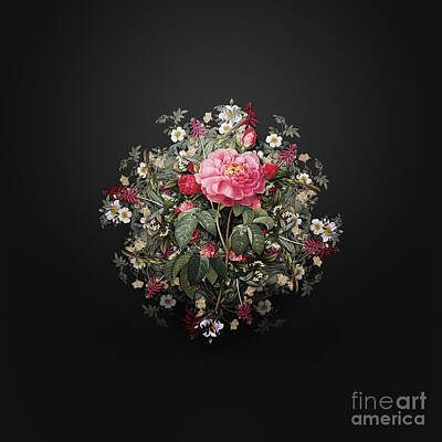 Roses Paintings - Vintage Duchess of Orleans Rose Flower Wreath on Wrought Iron Black n.3330 by Holy Rock Design