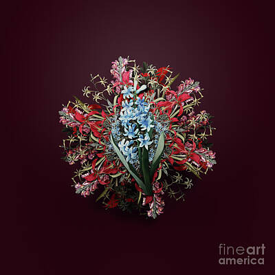 Wine Paintings - Vintage Dutch Hyacinth Flower Wreath on Wine Red n.3097 by Holy Rock Design