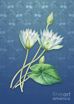 Floral Mixed Media - Vintage Egyptian Lotus Botanical Art on Bahama Blue Pattern n.1319 by Holy Rock Design