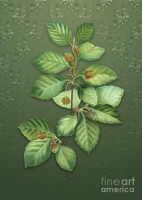 Boho Christmas - Vintage European Beech Botanical Art on Lunar Green Pattern n.0413 by Holy Rock Design
