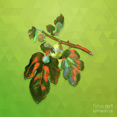 Animals Mixed Media - Vintage Fig Botanical Art on Love Bird Green n.1194 by Holy Rock Design