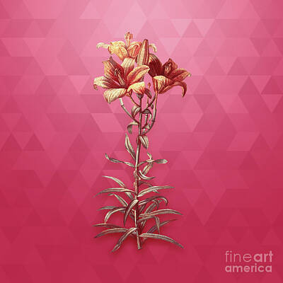 Lilies Mixed Media - Vintage Fire Lily in Gold on Viva Magenta by Holy Rock Design