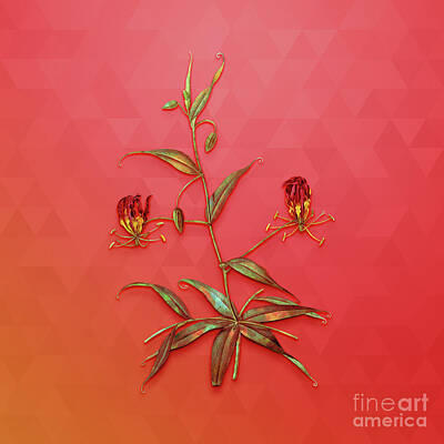 Lilies Mixed Media - Vintage Flame Lily Botanical Art on Fiery Red n.1717 by Holy Rock Design