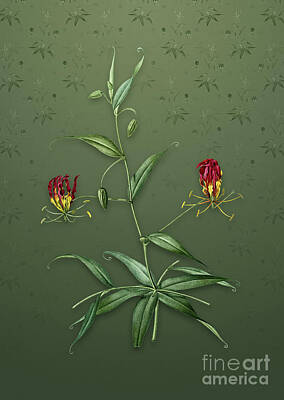 Lilies Mixed Media - Vintage Flame Lily Botanical Art on Lunar Green Pattern n.2876 by Holy Rock Design