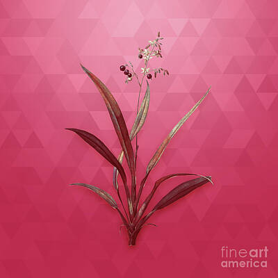 Lilies Mixed Media - Vintage Flax Lilies in Gold on Viva Magenta by Holy Rock Design
