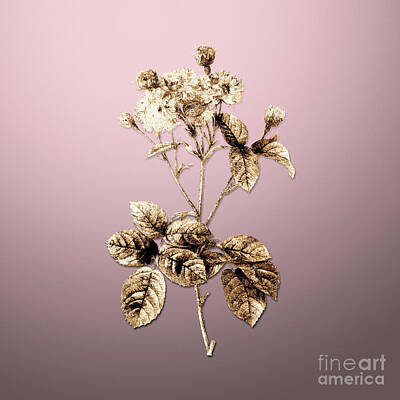 Fire Engine - Vintage Flower Gold Pink Rosebush on Rose Quartz n.04448 by Holy Rock Design